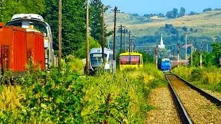 Triple Meeting on Two Tracks - Vadu Crișului, Bihor County