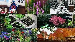 The colors of our garden and around our house in all seasons, a tour of our garden. plants, birds&hellip;..