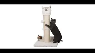 ✔✔TOP 5: Best Vertical Cat Scratching Post 2021 | Cat Activity Towers