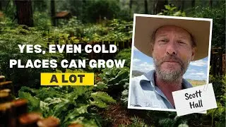 Food Forest Podcast: Scott Hall – How to start a syntropic food forest