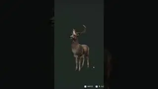 One Shot Kill Male Fallow Deer  #thehuntercotw #thehuntercallofthewild #deerhunting #hunting #gaming
