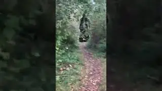 Halloween creature monster Banshee sighting #Short