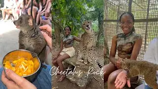 Cheetah&rsquo;s Rock (Zanzibar, Tanzania)