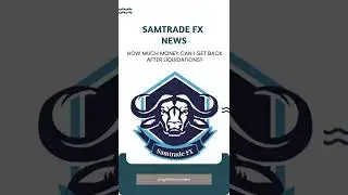 How much can investor get back for Samtrade FX after liquidation? (my opinion)