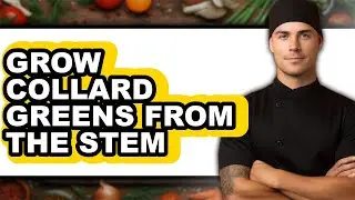 How To Grow Collard Greens From The Stem - Easy Guide