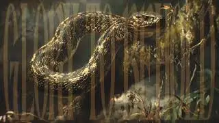 ✥ SERPENT'S WHISPER ✥ OCCULT RITUAL & INVOCATION OF POWER, KUNDALINI AWAKENING, 432HZ MYSTICAL MUSIC