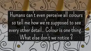 Clarification- Ex 