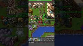 742EK no bless | #yaner763 #Twitch #Tibia PELORIA WAR Sleepers vs. Reapers