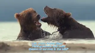 ➡️ &ldquo;Grizzly Bear Fishing Salmon with Cubs | Wild Nature Documentary&rdquo;