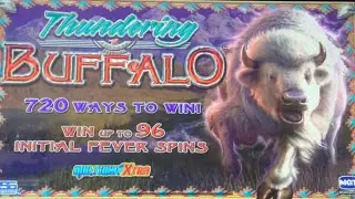 Thundering Buffalo slot machine $1.20 line hit&hellip;thought I&rsquo;d play an older 🎰