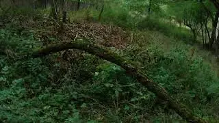 Airsoft in Czech Republic with SSR4-mk1