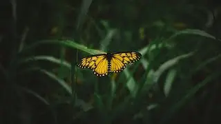 Knowing God: The Creator, The Community, The Crisis, The Correction, The Cure--Part 38