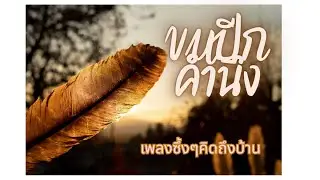 คิดถึงบ้านให้ฟังเพลงนี้| ขนปีกคำนึง|# คิดถึงคนบนฟ้า# เพลงเพราะ# คิดถึงบ้าน#คิดถึงคนไกล #คนไกลบ้าน
