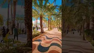 Is this the most beautiful walk in Spain? 🇪🇸 #alicante #spain #youtubeshorts #explanada #costablanca