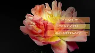 Blossoming Abundance Meditation: 1 Hour of Calming Music & Blooming Flowers