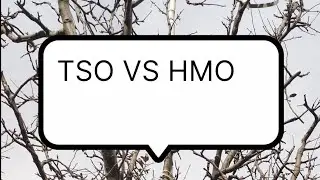 TSO ya hmo दिसंबर में कौन सी स्प्रे करनी चाहिए 