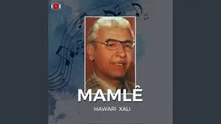 Hawari Xali