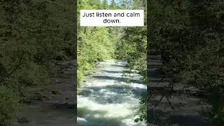 Riverside Harmony: Serene River Sounds for Relaxation and Mindfulness | Nature's Symphony, 4K #river