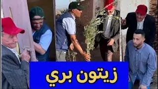 بااا سورت على روحاني في بيت باع ليه زيتون مخدامش 🤣😤