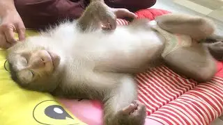 Smart Jason Calmly Relax While Mom Use Cotton Bud To Remove Ear Wax