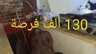 130 ألف فرصة العمر قريبه من البحر حلوه اوي