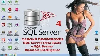 SQL Server Data Tools - Integration Services Business Intelligence