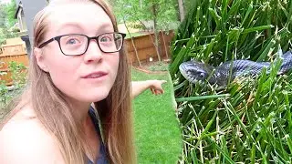 GIANT SNAKE in our BACKYARD!!! 🐍