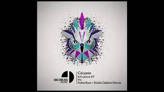 Calypse - Influence (Andres Blows Remix)