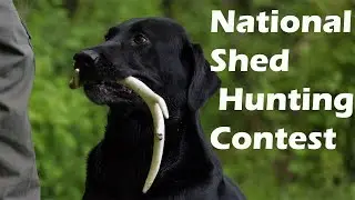 The National Shed Hunting Competition in 2016