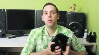 N2 the Talking Cat Fundraiser - Save the Show