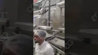 Set Date Palm Processing Factory