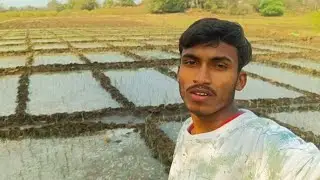 నార్ కి water 🌊 వదిలిన చేనులో 🥰