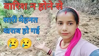 बारिश न होने की वजह से सारी मेहनत बर्बाद हो गई 😢 pahadi lifestyle vlog  @Neelu_vlogs_uttarakhandi