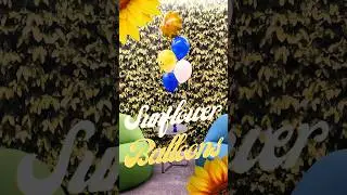Sunflower Balloon Centerpieces UFT Event | Blue White & Yellow