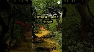 निधिवन में राधा रानी को पुकारते हुए Radha Rani Darshan II Live Darshan #nidhivan #radharani #darshan