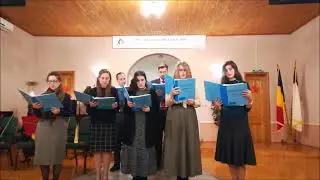 El N-a Promis Doar Cerul Senin