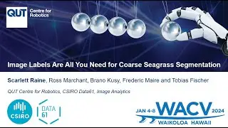 Image Labels Are All You Need for Coarse Seagrass Segmentation - WACV 2024 Video