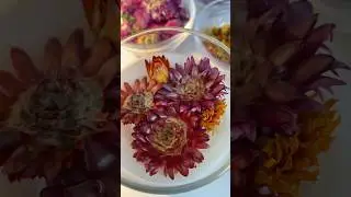Wickless Candles | Dried Botanicals, DIY Candles, Wax Melts