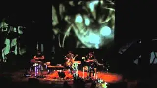 Origamibiro - Specimens (live)