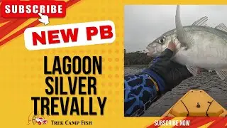 Lagoon Silver Trevally