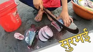 Surmai fish cutting at harnai fish auction | Dapoli | kokan @HarnaiBeach #surmai #fish #sea