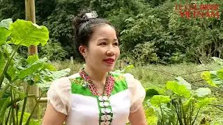 La transformation num&eacute;rique au service du d&eacute;veloppement durable &agrave; V&acirc;n H&ocirc;