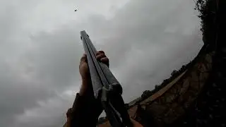 Pigeon shooting with my Father's Thomas Wild the gun I learnt to shoot with......❤️