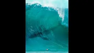 ZOETROPIC TUTORIAL | 3D LIVE ZOETROPIC APP DOWNLOAD WATCH TUTORIAL