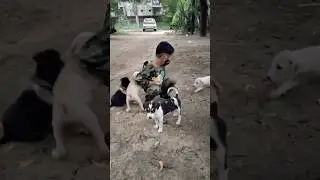 Pure Happiness: Playing with Puppies 🐾✨ #cutybees #puppylove #dog #cute #love #viral