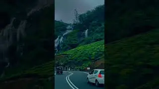 #shorts #chinnakkanal #kerala #travel #munnar #shortsviral #shortsfeeds