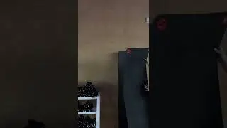 Yoga Enthusiasts