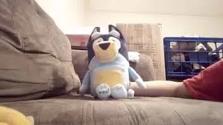 Bluey Bandit Plush Review