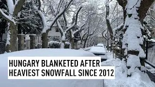 Венгрия покрыта снежным покровом после самого сильного снегопада с 2012 года.