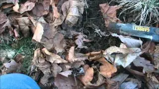 3/17/11 MD Hunt Silver Again!